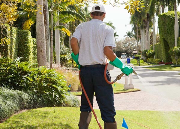 About Woodstock MN Pest Control